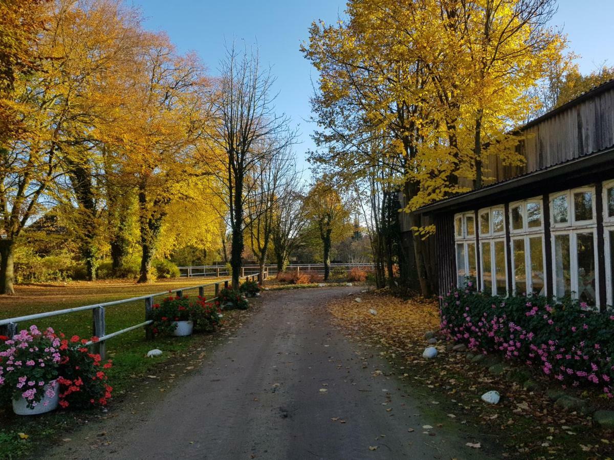 Grosse, Helle Ferienwohnung Mit 2 Balkonen Auf Dem Bauernhof In Der Lueneburger Heide Oetzen Extérieur photo